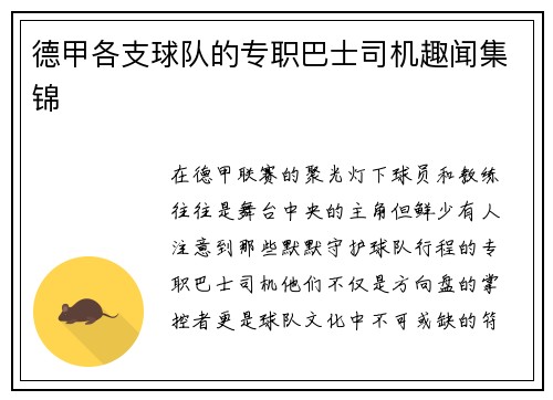 德甲各支球队的专职巴士司机趣闻集锦